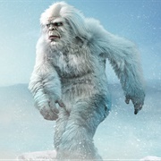 Yeti