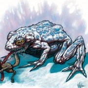 Ice Toad (2)