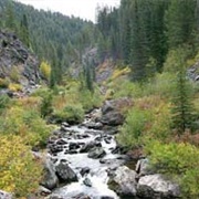 Nez Perce National Forest, Idaho