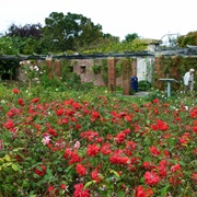 Lumps Fort Aka Southsea Rose Garden