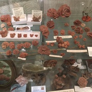 Timberlake Rose Rock Museum (Permanently Closed)