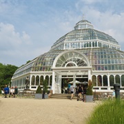 Visit a Three Storey Palm House