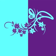 Aqua / Purple