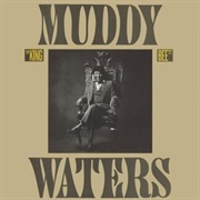 I'm a King Bee - Muddy Waters