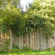 Bühren Organ Pipes, Germany
