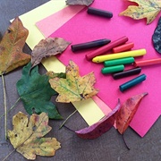 Make Leaf Rubbings