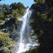 Maracas Waterfall, Trinidad and Tobago