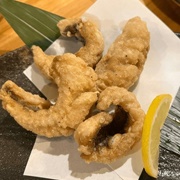 Double-Lined Fusilier