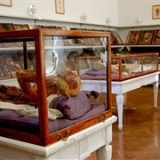 Josephinum Medical Museum