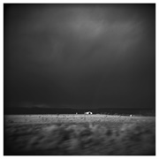 Early Day Miners - Placer Found