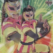 Kyusei Ninja Ranmaru