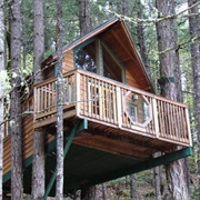 Treehouse Paradise
