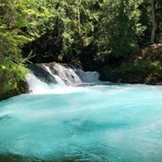 Willamette National Forest, Oregon