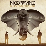 Am I Wrong - Nico & Vinz