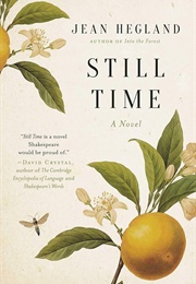 Still Time: A Novel (Hegland, Jean)