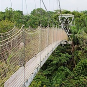 Lekki Conservation Centre Canopy Walk, Nigeria