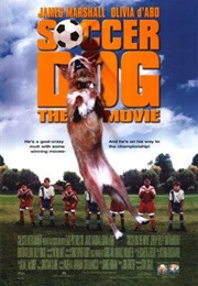 Soccer Dog: The Movie (1999)