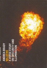 Wildfire: A Verse Essay on Obscurity and Illumination (Andrea Brady)