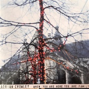 Adrian Crowley – When You Are Here You Are Family