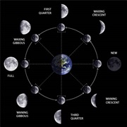 Lunar Phases