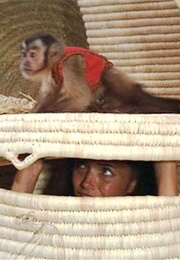 A Wicker Basket - Raiders of the Lost Ark (1981)