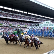 See the Belmont Stakes