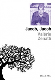 Jacob, Jacob (Valérie Zenatti)