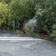 Brooklyn-Flatbush Border Line