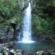 San Luis Waterfall, Monteverde, Costa Rica