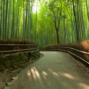 Arashiyama Bamboo Grove, Japan