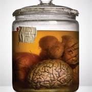 Brain Collection at the University of Texas at Austin (Permanently Closed)