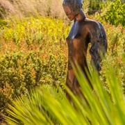 Santa Fe Botanical Garden at Museum Hill