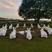 Bunnyhenge Newport Beach, CA, USA