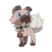 Rockruff