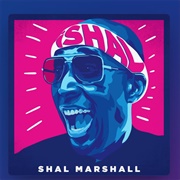 Splinters - Shal Marshall