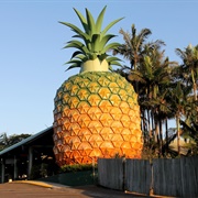 The Big Pineapple