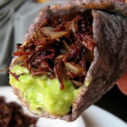 Chapulines