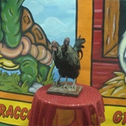 Mr. Marvel's Wondertorium (Permanently Closed)