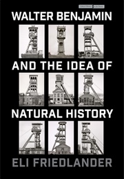 Walter Benjamin and the Idea of Natural History (Eli Friedlander)