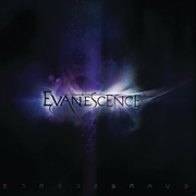 What You Want - Evanescence