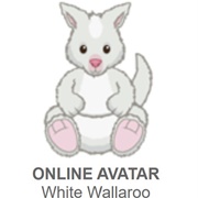 White Wallaroo
