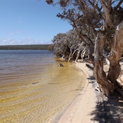 Stokes National Park