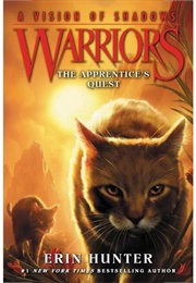 The Apprentice's Quest (Arc 6)