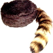 Coon Skin Cap