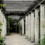 Hampstead Pergola