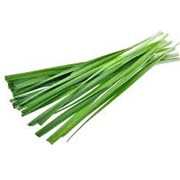 Garlic Chives