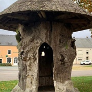 Tilleul De Gérouville