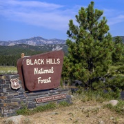 Black Hills National Forest, South Dakota
