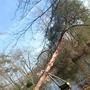 Parc De Cassan, L'isle Adam