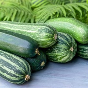 Zucchini
